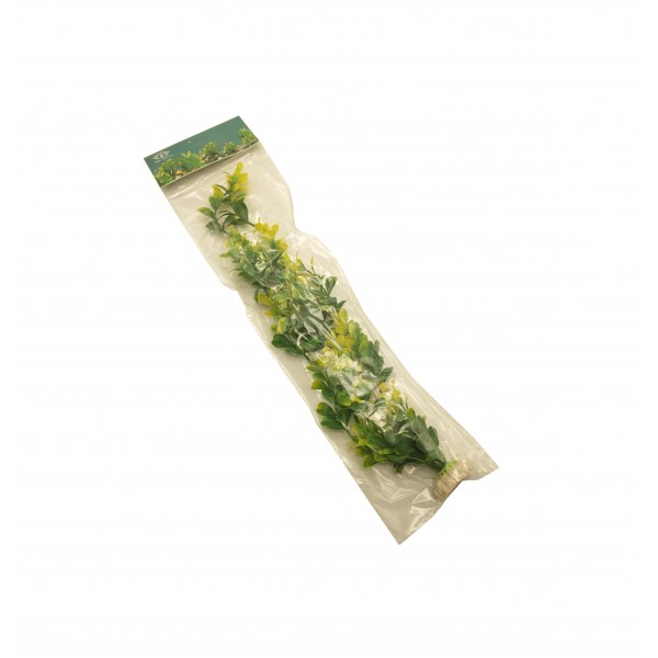 ΔΙΑΚΟΣΜΗΤΙΚΟ ΦΥΤΟ ΕΝΥΔΡΕΙΟΥ ΣΕ 3 ΣΧΕΔΙΑ